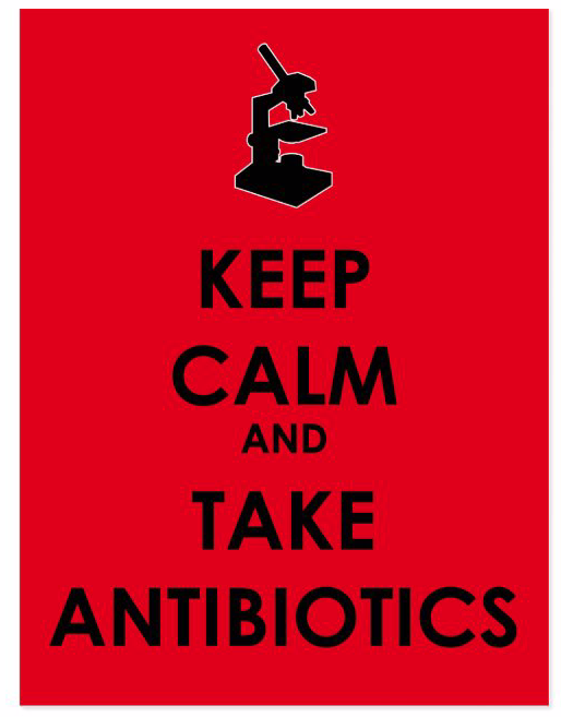Antibiotics Back to the Future American Council on Science and Health